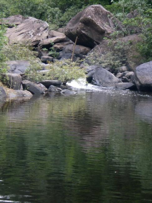 SANY7064.jpg
